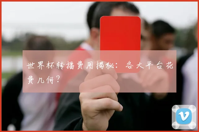 世界杯转播费用揭秘:各大平台花费几何?