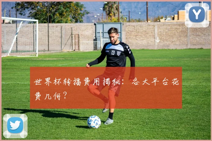 世界杯转播费用揭秘:各大平台花费几何?