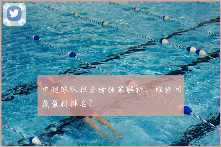 中超球队积分榜独家解析：谁将问鼎最新排名？