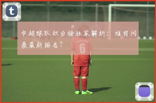 中超球队积分榜独家解析：谁将问鼎最新排名？