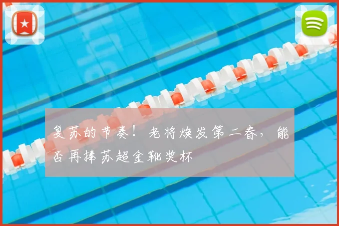 复苏的节奏！老将焕发第二春，能否再捧苏超金靴奖杯